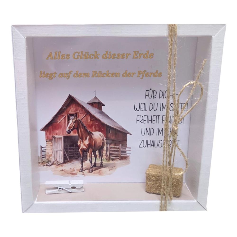 Geldgeschenk Pferd Geschenkidee für Reiterin und Pferdefreund